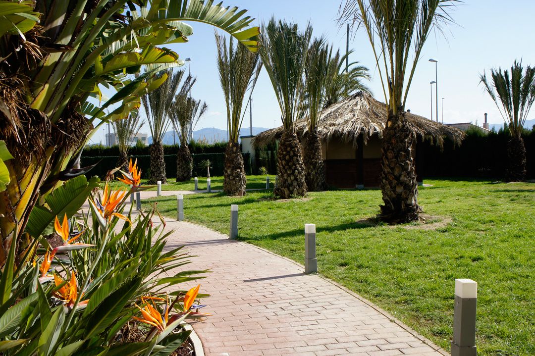 Jardines del Apartotel Playa Oliva