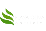 Apartotel Playa Oliva · Oliva Surf