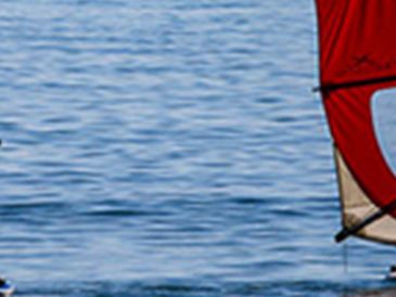 Windsurf